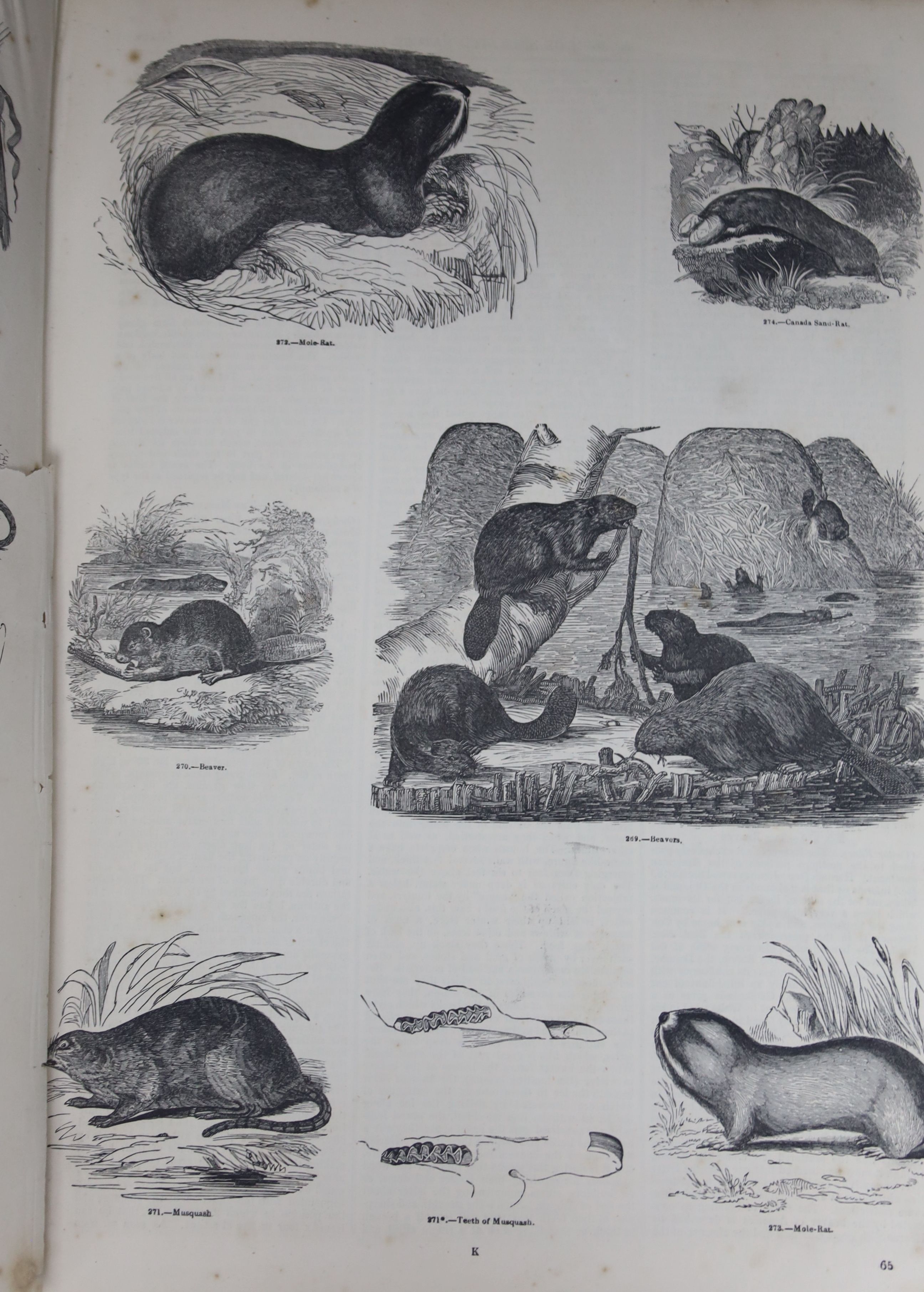 A Charles Knight pictorial museum of animated nature, 2 vols and scenes of the world and beautiful Britain (4)